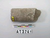 藏品(石杵)的圖片